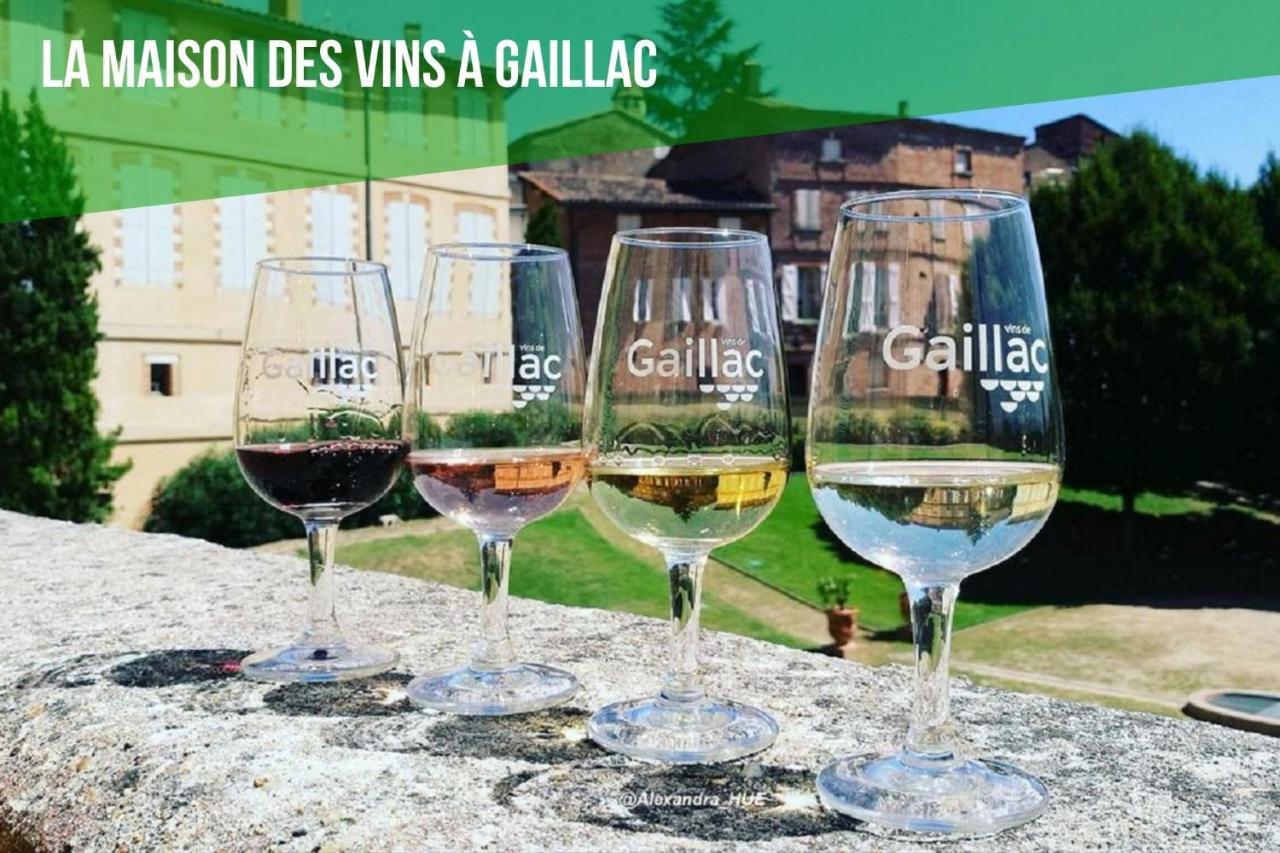 Holiday home Le Nature Loin De L'oeil Sauna Gaillac Entre Albi-toulouse & Les Du Tarn *